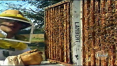 Good Eats Season 4 Episode 8