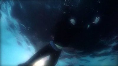 Whodunnit? Season 1 Episode 2