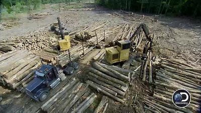 Swamp Loggers Season 2 Episode 6