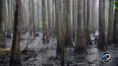 Swamp Loggers Season 3 Episode 6