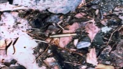 The Investigators Season 1 Episode 2