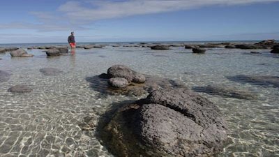 Naked Science Season 2 Episode 4