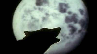 Naked Science Season 2 Episode 8