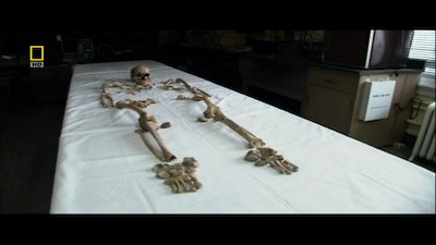 Naked Science Season 3 Episode 21