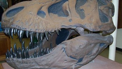 Naked Science Season 3 Episode 23