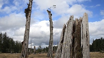 Naked Science Season 4 Episode 1