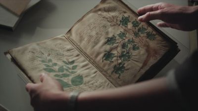 Naked Science Season 7 Episode 16