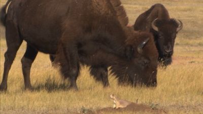 Naked Science Season 8 Episode 7