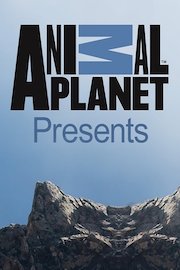 Animal Planet Specials