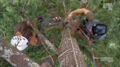 Treehouse Masters Season 1 Episode 8