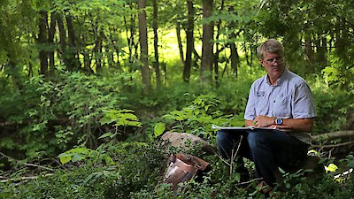 Treehouse Masters Season 7 Episode 7