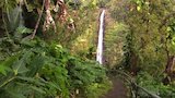 Hawaii vs. Jamaica