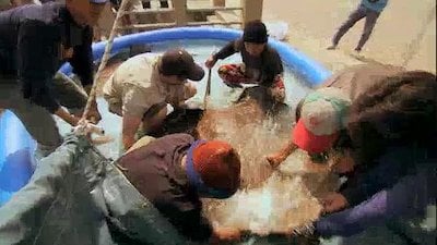 Hooked Season 1 Episode 2