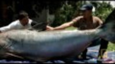 Hooked Season 1 Episode 5