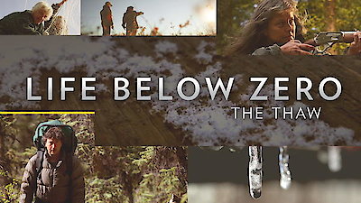 Life Below Zero Season 11 Episode 1