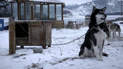 Life Below Zero Season 3 Episode 6