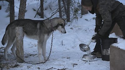 Life Below Zero Season 17 Episode 5