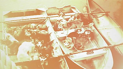 Life Below Zero Season 18 Episode 1