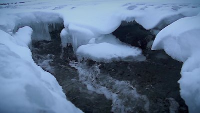Life Below Zero Season 19 Episode 3