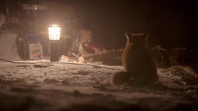 Life Below Zero Season 19 Episode 4