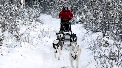 Life Below Zero Season 3 Episode 7