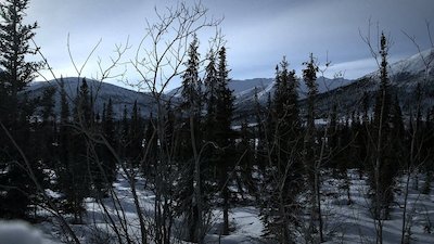 Life Below Zero Season 5 Episode 11