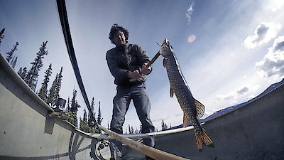 Life Below Zero Season 6 Episode 4