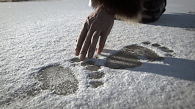 Life Below Zero Season 7 Episode 4