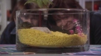 Fudge Season 1 Episode 1