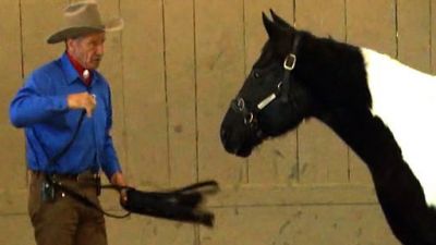 Recon Season 8 Episode 5