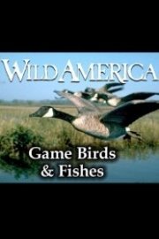 Wild America, Game Birds & Fishes Collection