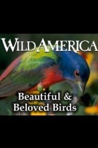 Wild America: Beautiful and Beloved Birds Collection