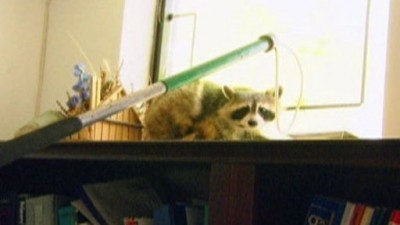 The Animal Extractors Season 1 Episode 1