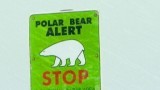 Polar Bears in Peril