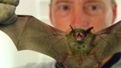 The Animal Extractors Season 1 Episode 7