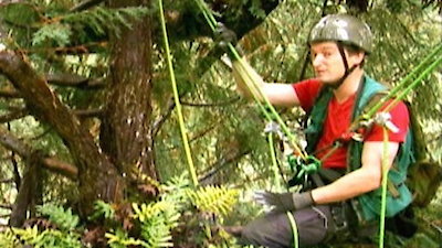 Explorer Season 4 Episode 15