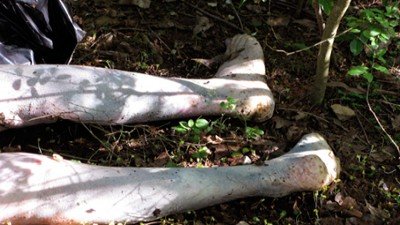 Explorer Season 5 Episode 8