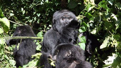 Explorer Season 4 Episode 2