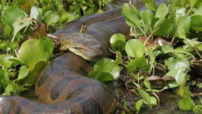 Explorer Season 2 Episode 1