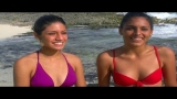 Best of Bikinis & Boardwalks