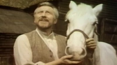 The Adventures of Black Beauty Season 1 Episode 6