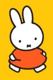 Miffy: Little Bunny