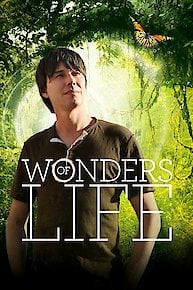 Wonders Of Life