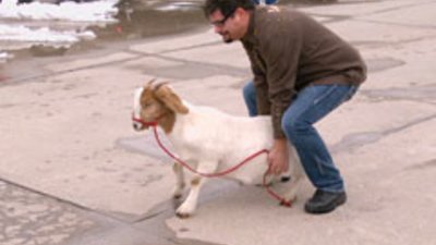 God, Guns & Automobiles Season 1 Episode 2