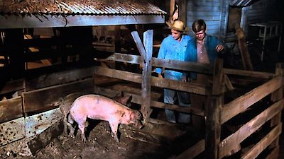 The Waltons Season 8 Episode 15