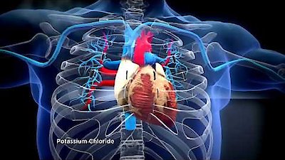 Catching Killers Season 1 Episode 5