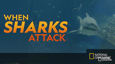 When Sharks Attack Season 6 Episode 1