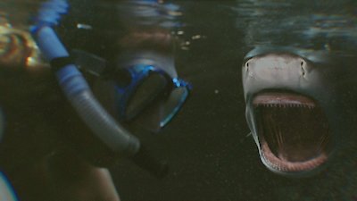 When Sharks Attack Season 6 Episode 5