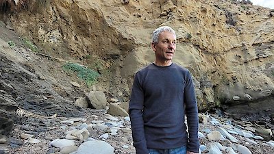 When Sharks Attack Season 7 Episode 4