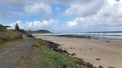 When Sharks Attack Season 7 Episode 5